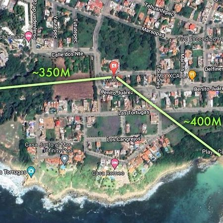 Studio -Trees At Mikasa- Near Beach, Pool, Fast Wifi, Ac & King Bed Puerto Escondido  Exteriör bild