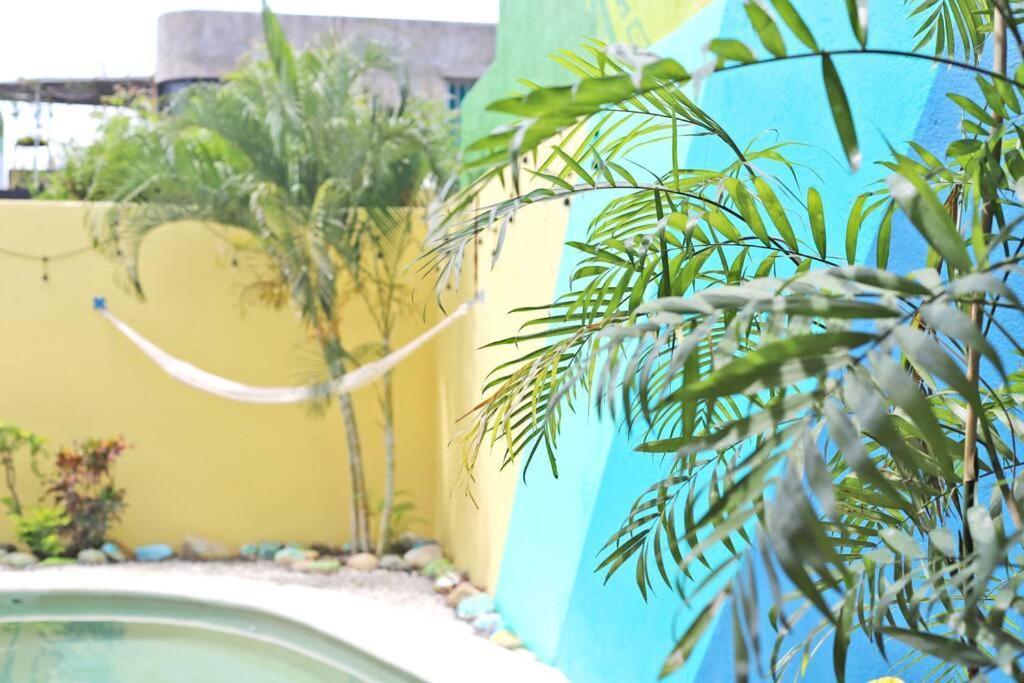 Studio -Trees At Mikasa- Near Beach, Pool, Fast Wifi, Ac & King Bed Puerto Escondido  Exteriör bild